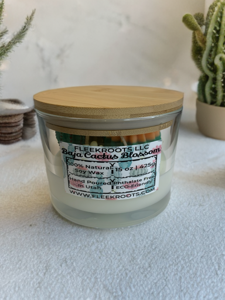 3 Wick Baja Cactus Blossom (Type) 15oz Candle