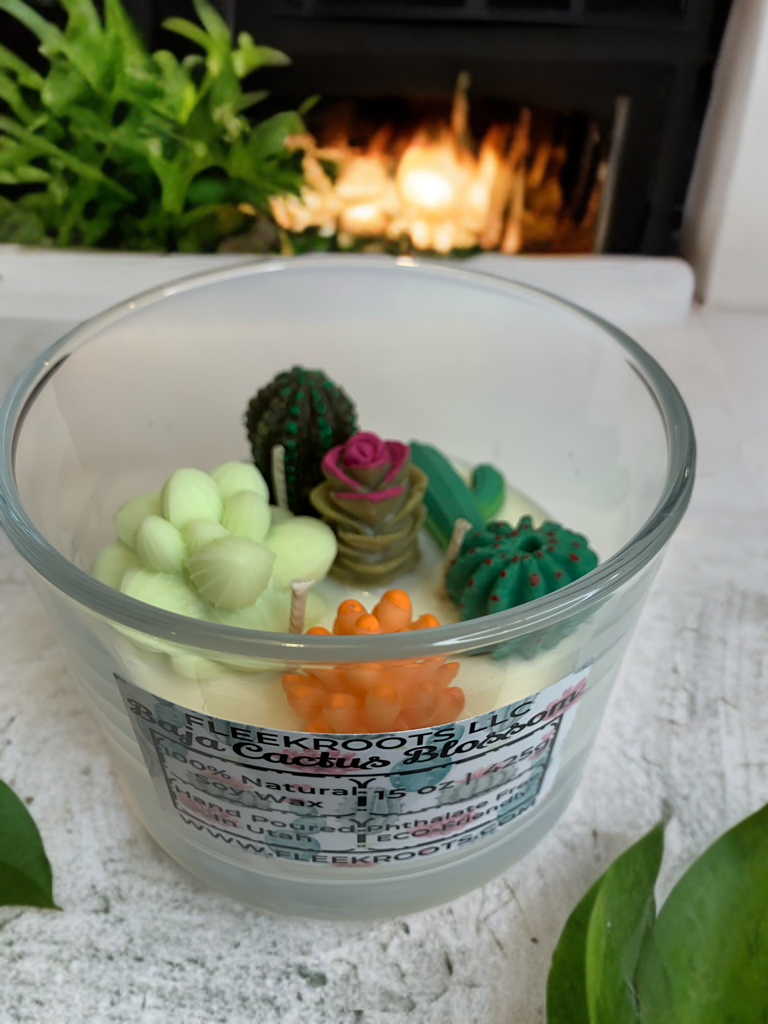3 Wick Baja Cactus Blossom (Type) 15oz Candle