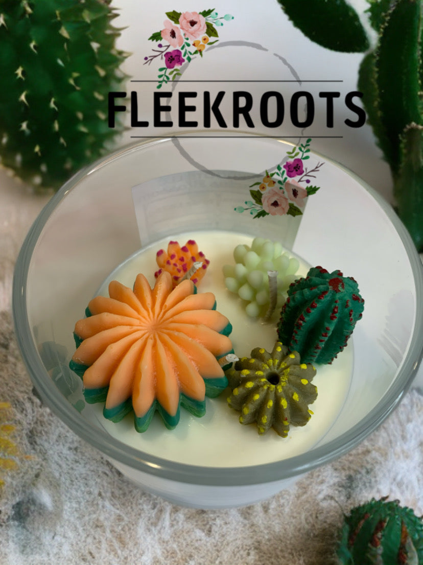 3 Wick Baja Cactus Blossom (Type) 15oz Candle