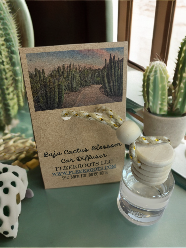 Baja Cactus Blossom (Type) Car Diffuser