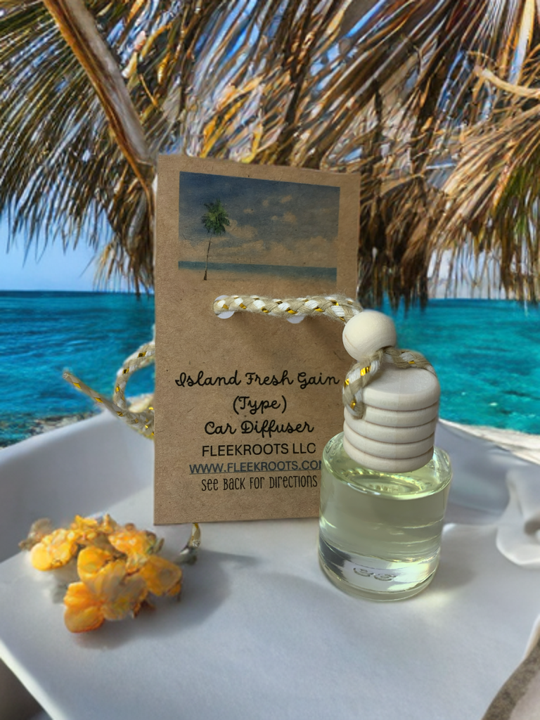 Island Fresh Gain (Type) Car Diffuser