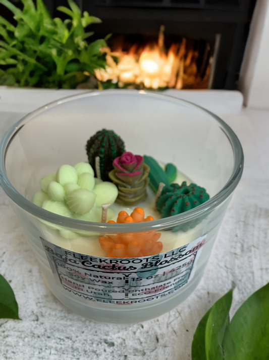 3 Wick Baja Cactus Blossom (Type) 15oz Candle