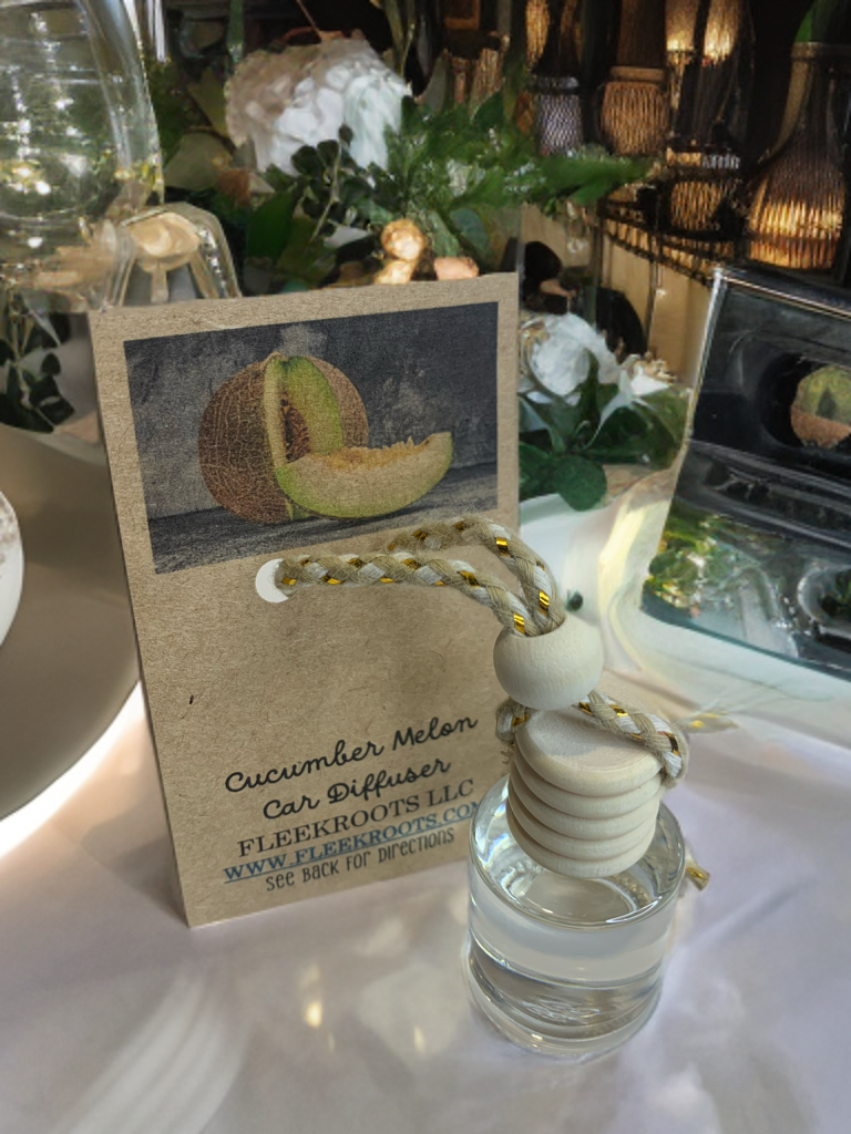 Cucumber Melon Car Diffuser