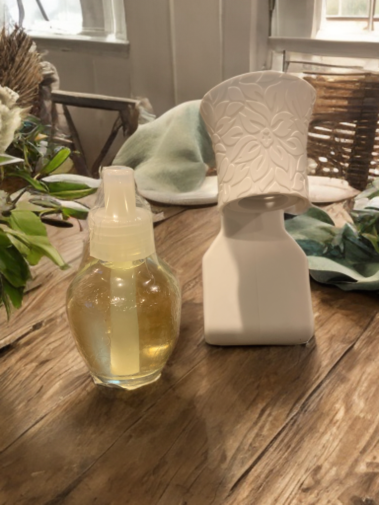 Fleekroots LLC Baja Cactus (type) Home Frangrance & Wall Plug-in Unit