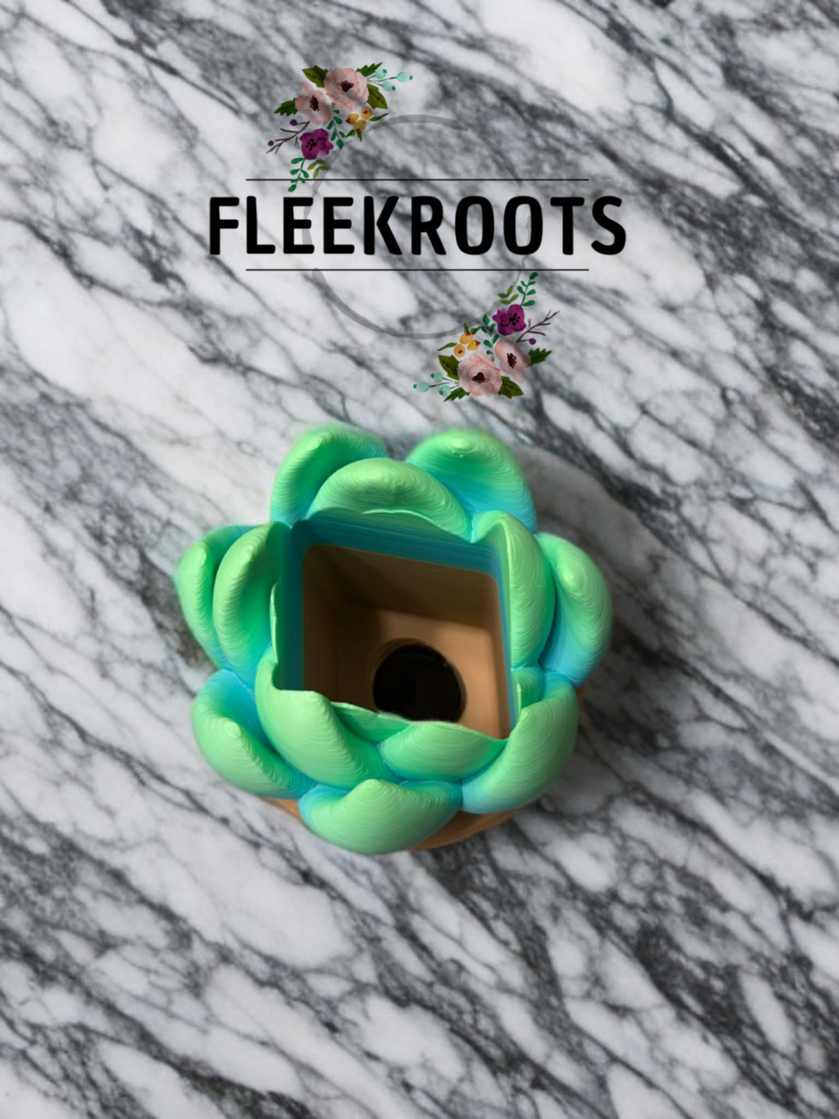 Succulent Soap Holder