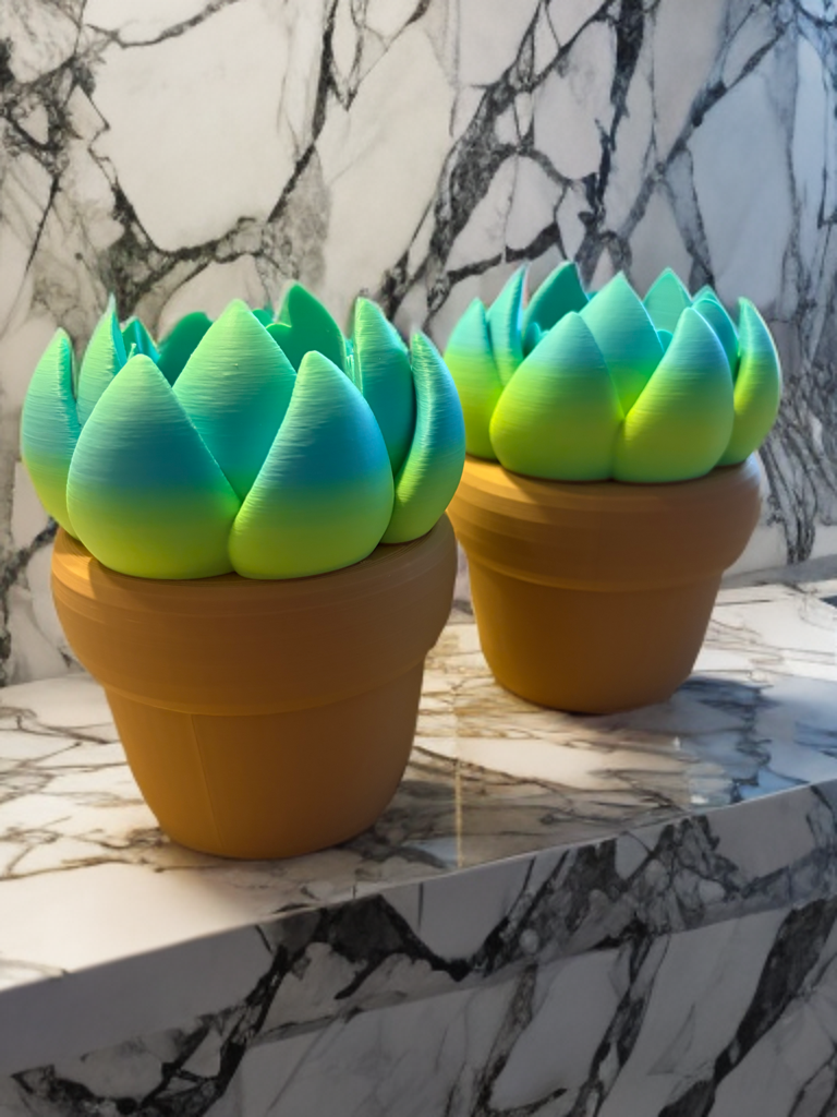 Succulent Soap Holder