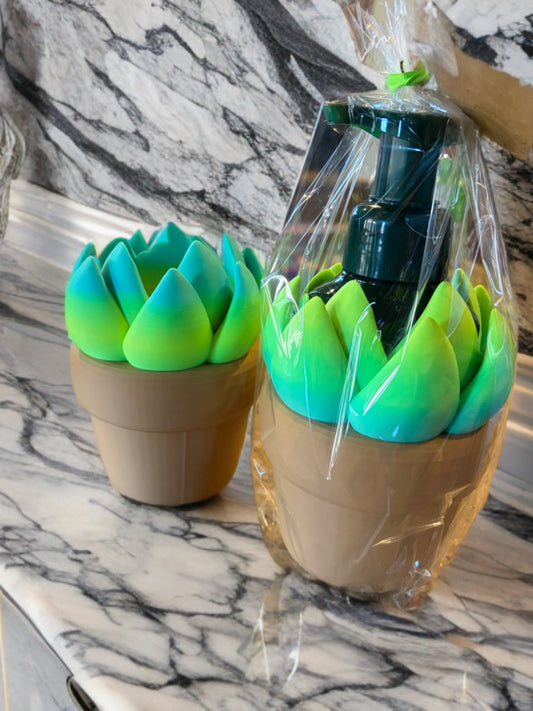 Succulent Soap Holder