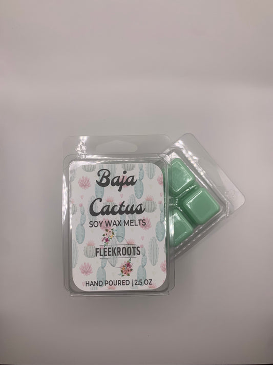 Baja Cactus (*BBW Type) Wax Melts