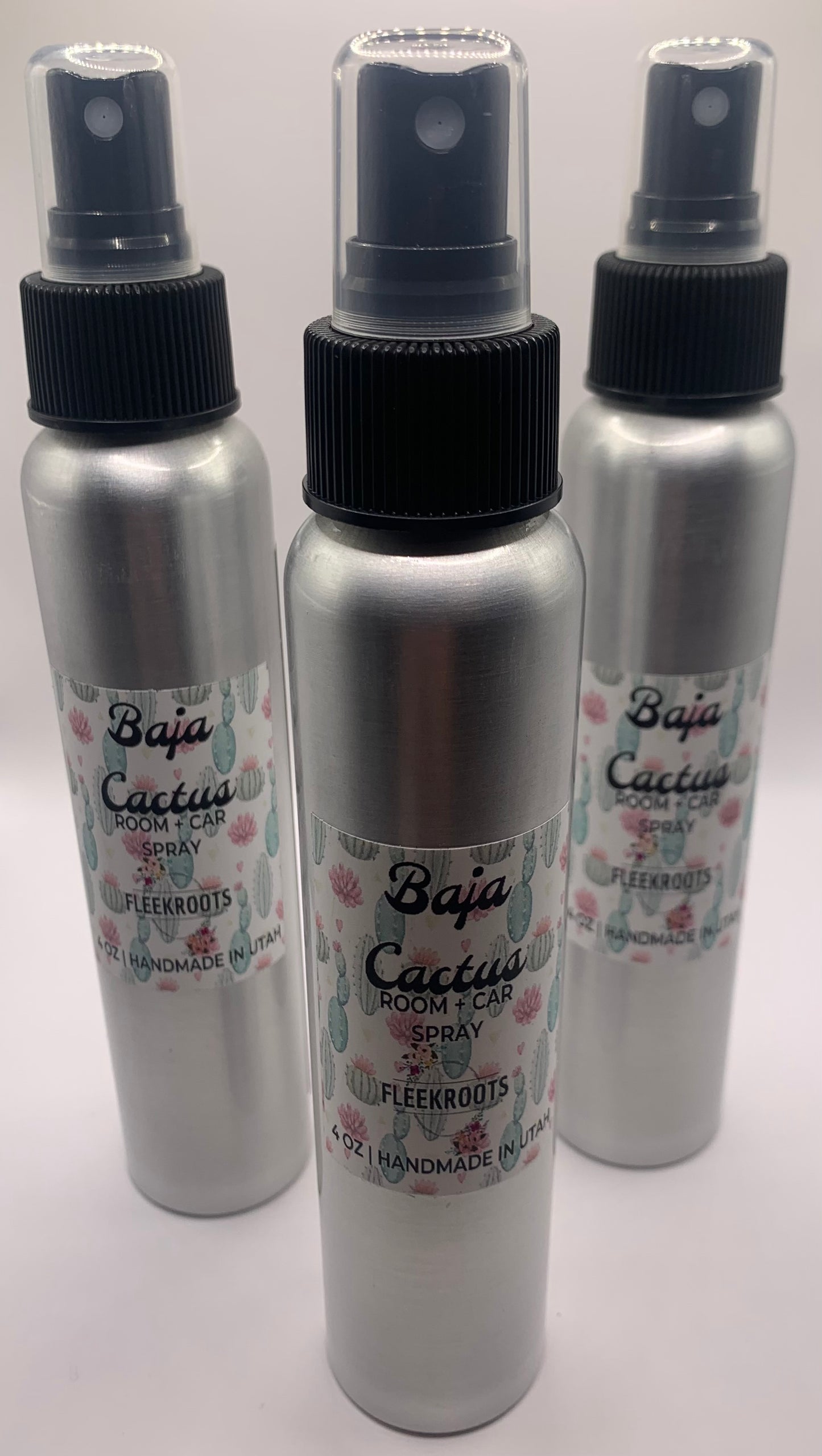 Baja Cactus (*BBW Type) Room + Car Spray